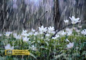 Rain 2O 300x211 - بارش باران از فردا شب در گلستان